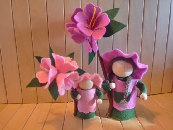 Pegdoll Rododendron