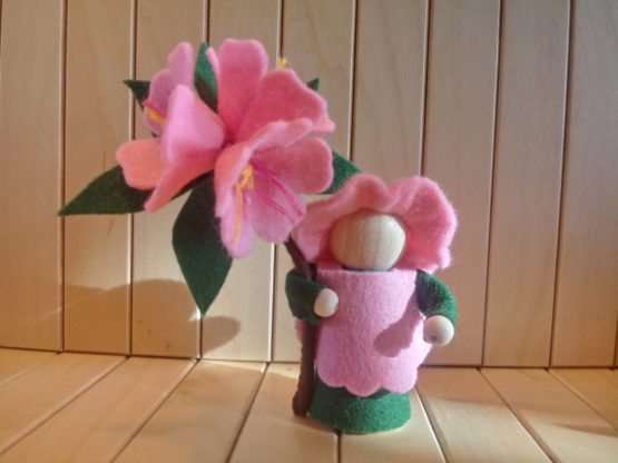 Pegdoll Rododendron - Afbeelding 4